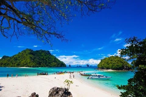 Private Speed Boat to Phi Phi Island & Krabi