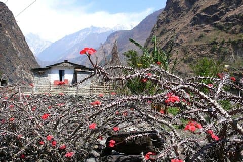 12 dagar Annapurna Panorama & Tatopani Trek