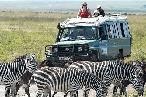 2 dage tiltrådte gruppe Tarangire og Ngorongoro Crater National Park