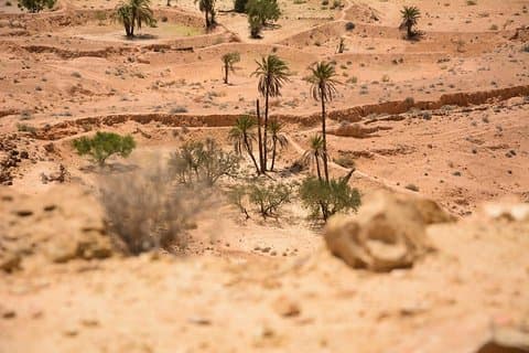 Le tre oasi del deserto e della montagna