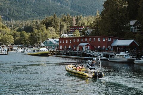 Hoteller i nærheden af Vancouver Island Zodiac Whale Watching Adventure