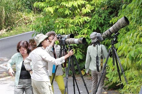 Fraser's Hill Bird Watching & Nature Tour fra Kuala Lumpur