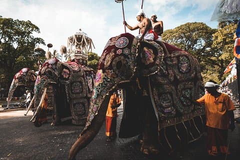 August Kandy Festive Tour