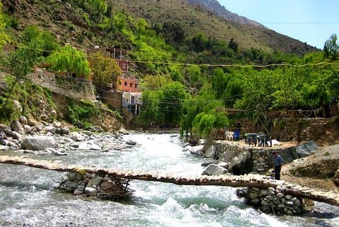 Private Day Trip Ourika valley