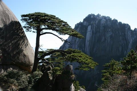 Privat 2 dager tur for å besøke Huangshan Mountain og Hongcun landsbyen