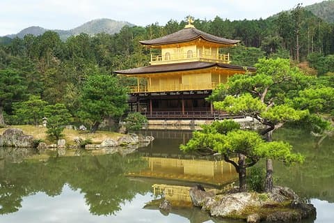 Kyoto and Nara 2 - Tour de um dia: Pavilhão de Ouro, Todaiji, Deer Park