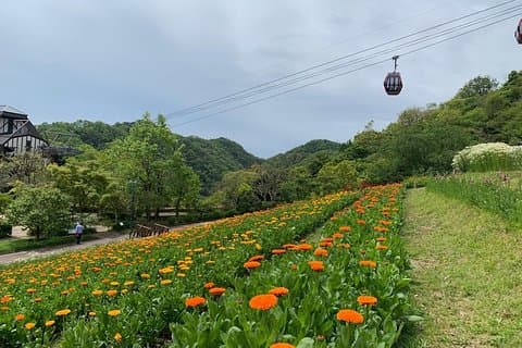 Kobe private tour from Osaka (Shore excursion available from Osaka or Kobe port)