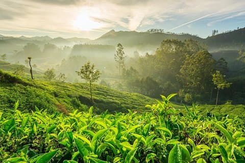 4 Days Best of Kerala Tour with Private Houseboat, Sightseeing & Car