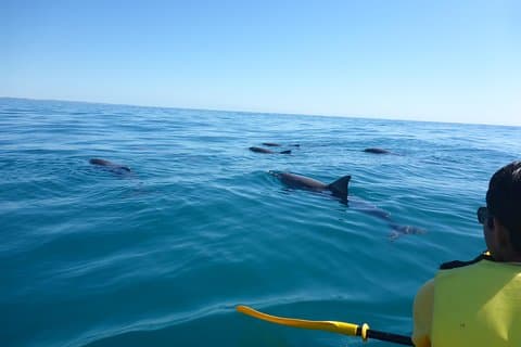 Noosa: Epic Private Tour - Double Island Point Day Adventure