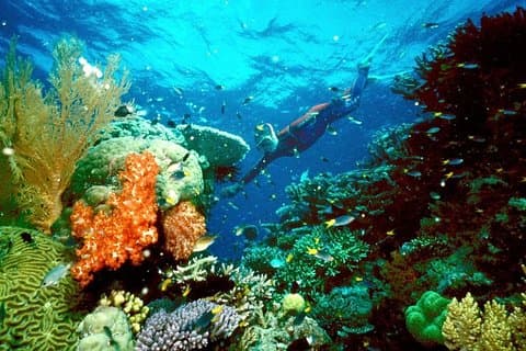 TURTLE BAY MARSA ALAM FROM HURGHADA (abu dabab)