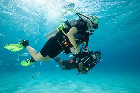 Oplev Scuba Diving med to dyk i havet på Tenerife med overførsler