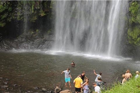Escursione di 1 giorno alle Cascate di Materuni e Tour del Caffè