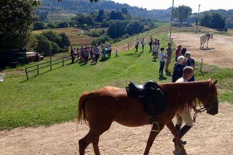 Toscana ridning og vinsmagning Privat tur fra Rom