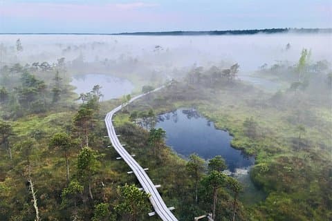 リガ発、エーメリ沼遊歩道、バルト海&ユルマラ日帰りツアー