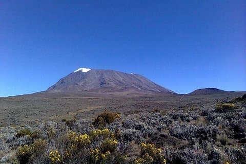 6 días Ruta Machame Desde Arusha / Kilimanjaro