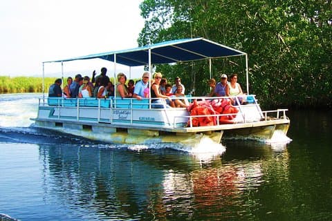 Black River Safari & YS Falls Tour från Runaway Bay