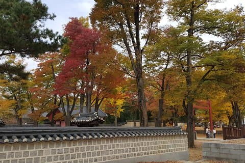 (Private tour) Jeonju City tur med KTX bullet Tog fra Seoul