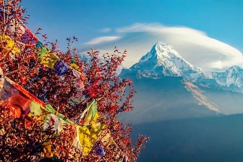 Pokhara (eventyrlig by), Dhampus Gurung landsby, Chitwan National Park tour