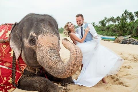 Privéfotosessie met een lokale fotograaf in Sri Lanka