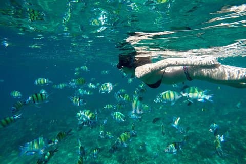 Phi Phi Island Deluxe Package par Tour Hub Asia