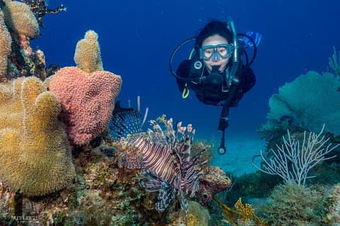 Private Bayahibe 3 Tank Diving with Lunch from Punta Cana