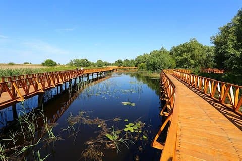 Bedøvelse Kopacki Rit Nature Park Heldagstur fra Zagreb