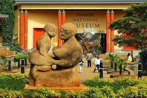 4 ore Museo nazionale di Nairobi e Snake Park con auto