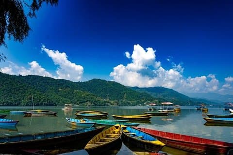 Behagelig Pokhara City med fængslende Chitwan Jungle Tour fra Kathmandu