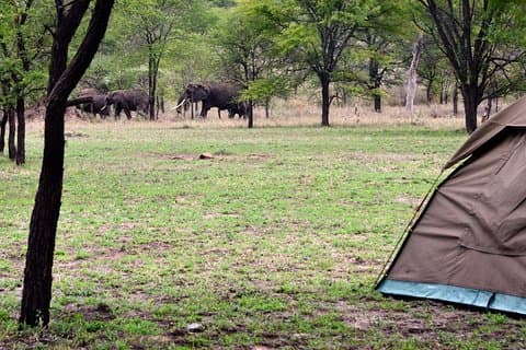 2 - Dagsafari til Tangire og Ngorongoro krater
