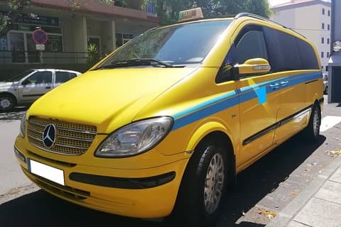 Minibussöverföring: Madeira flygplats - Funchal