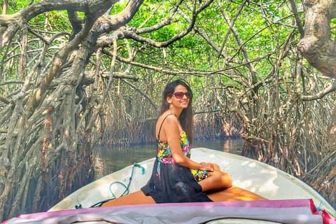 Galle-dagtrip met mangrove-safari vanuit Negombo