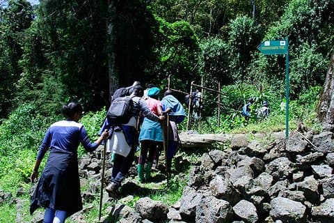 One Day Mt Bisoke Hike Adventure i Volcanoes Park (2 Pax Min)