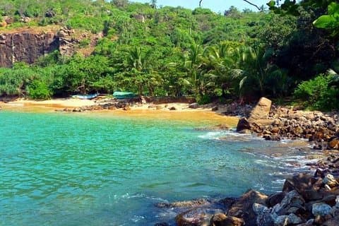 Galle Fort & Jungle Beach Tagesausflug von Colombo