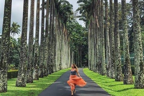 Excursión privada de un día a Kandy desde Colombo