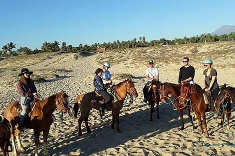 Horseback riding