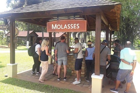 Privat Appleton YS Falls och Black River Tour från Montego Bay