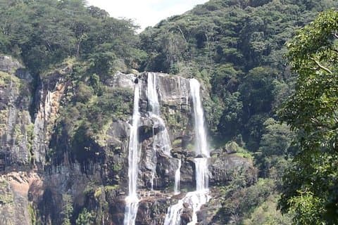 Safari de 4 dias nos Parques Nacionais Mikumi e Udzungwa