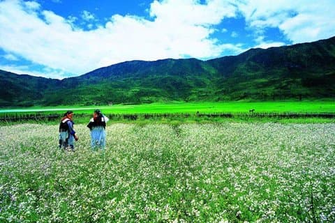 Privat trekking tur til Wenhai sø fra Lijiang halv dag service