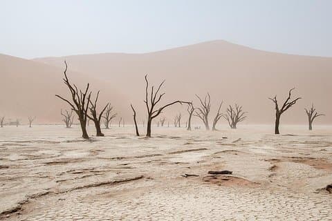 10 DAYS BEAUTY OF NAMIBIA | Guided Lodge