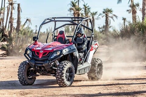 Tour in buggy nel palmeto di Marrakech