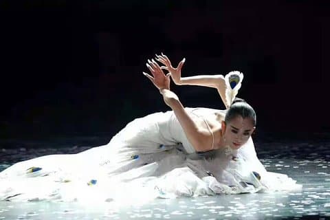Night tour Cross-Bridge rice Noddles Shangrila-Dynamic Yunnan Show from Kunming