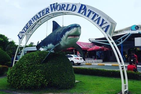 PATTAYA: Deltag i Tour Under Water World Pattaya