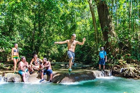 Privat rundtur i Mayfield Falls Waterfalls [ Transport ]