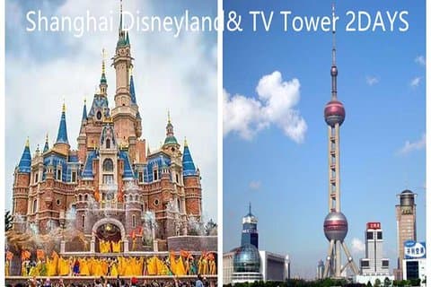 Viaggio a Shanghai e Disneyland di 2 giorni