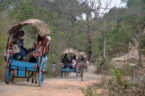 Sigiriya Village Tour från Negombo