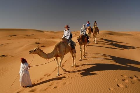 Camel Trekking Dubai med Morning Dune Bashing och Sand Boarding