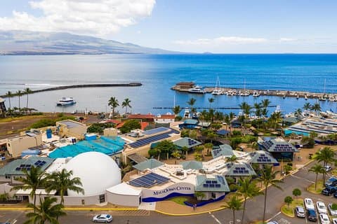 Biglietto d'ingresso per tutto il giorno al Maui Ocean Center