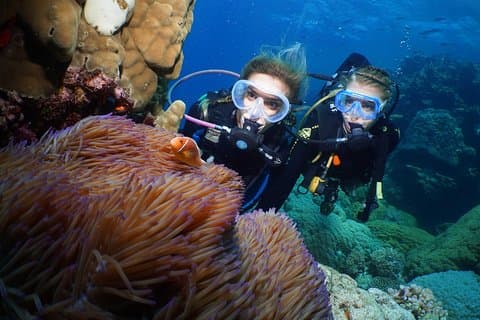 Quicksilver Dive 4 Day PADI Learn to Dive Course