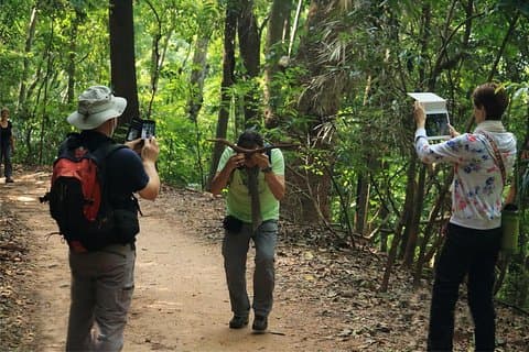 Fugletitting i Kandy Udawatta Kele Forest Reserve
