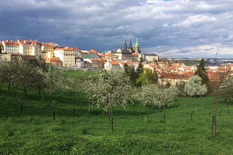 city tour to Prague Castle
